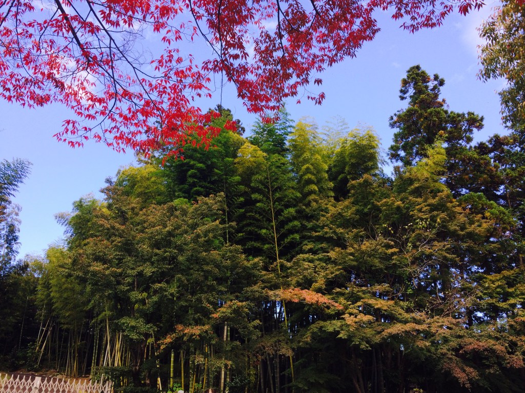 Nhật Bản không hoàn hảo&nbsp;(P1)