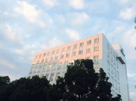 20161104_072648417_ios