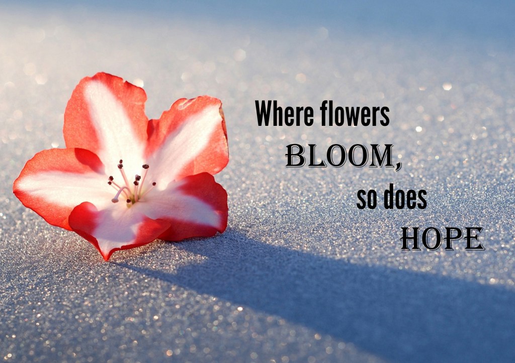 Cứ trải nghiệm, cứ vấp ngã, cứ làm điều mình thích, thì có&nbsp;sao?