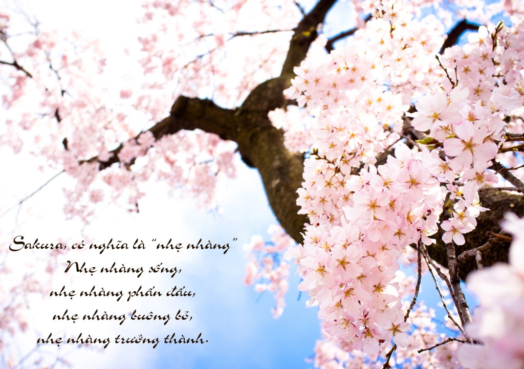 Công việc đầu tiên (p2) – Hành Tây ngồi&nbsp;nghĩ