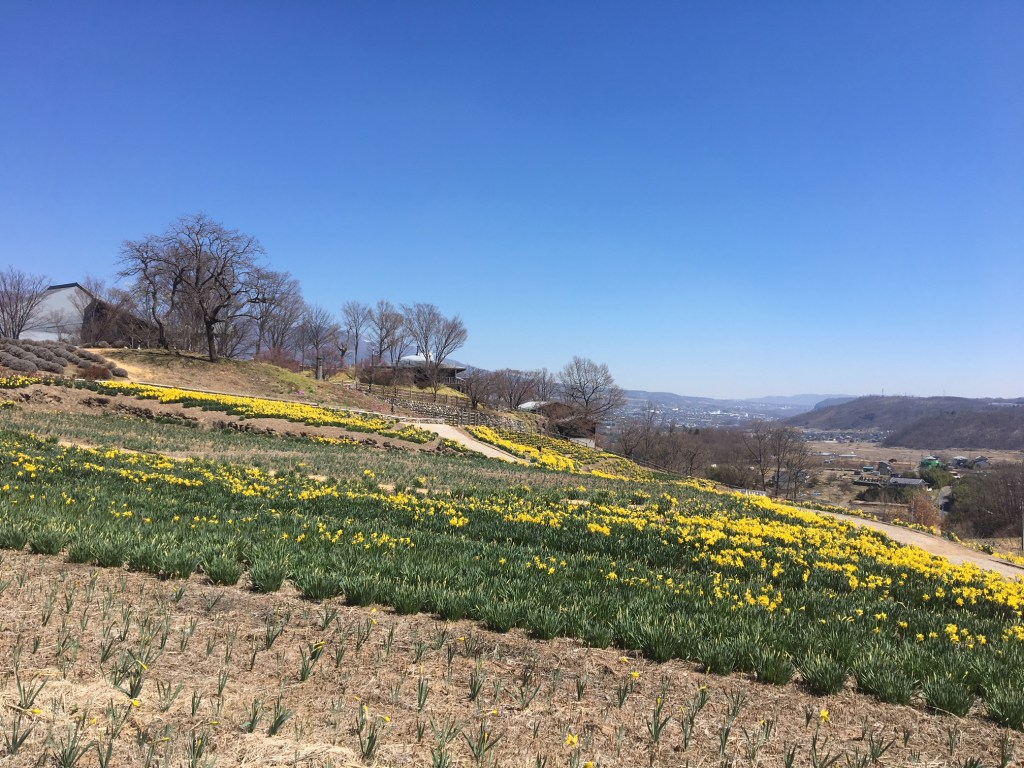 Nhật Bản và Kẻ ngoại lai của những kẻ ngoại&nbsp;lai