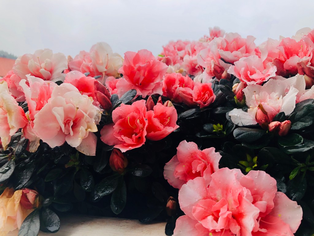 2U(1): Gửi bạn nếu bạn thấy cuộc đời chông chênh&nbsp;quá