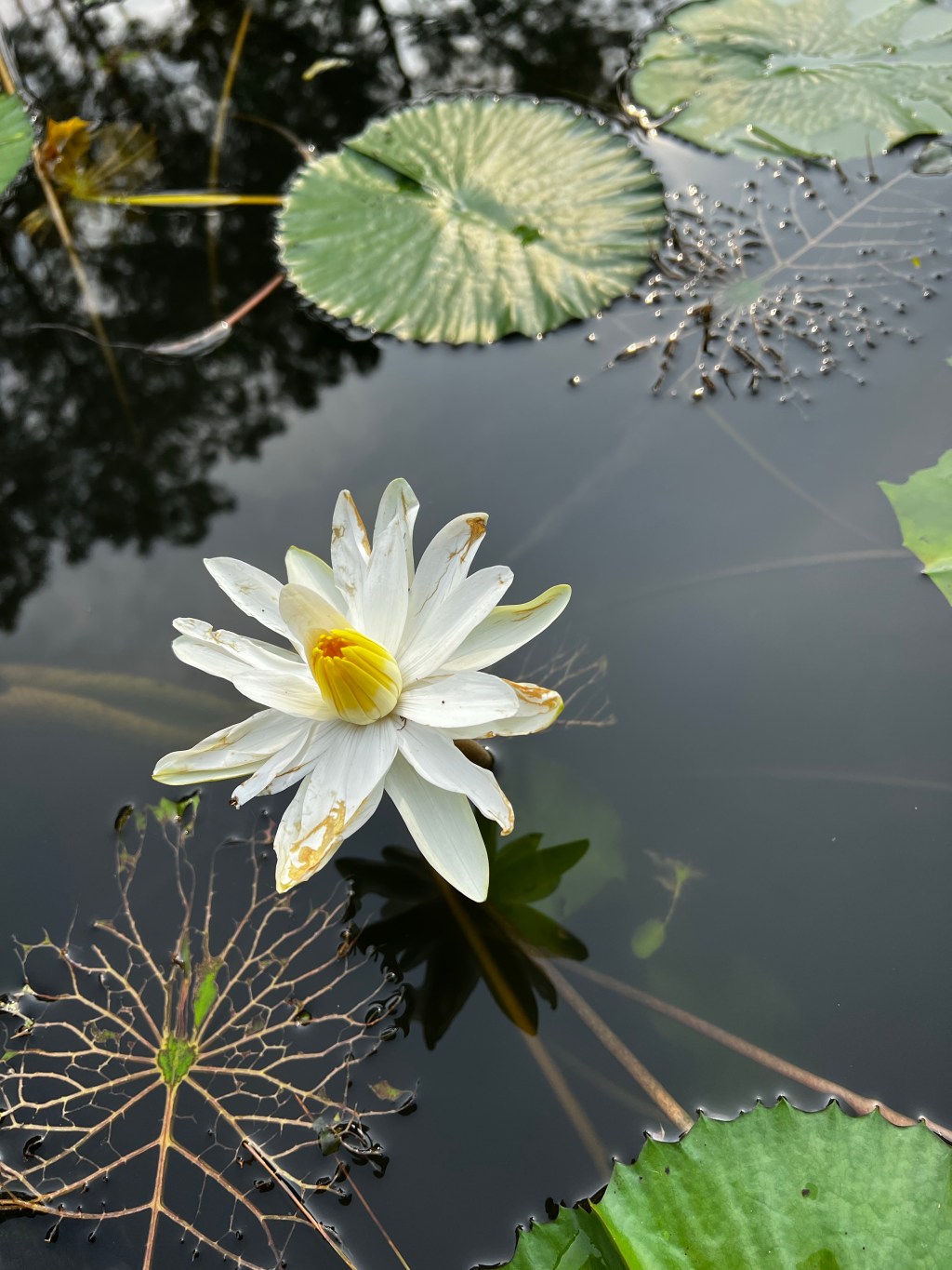 Khủng hoảng một phần tư cuộc đời (Quarter-life crisis): Chúng mình sống vì điều&nbsp;gì?