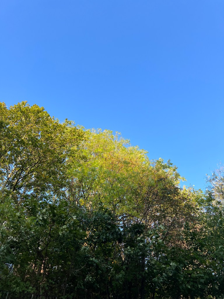 Du học Thạc sĩ Anh - Cứ cố gắng lên vì nắng sẽ lên 