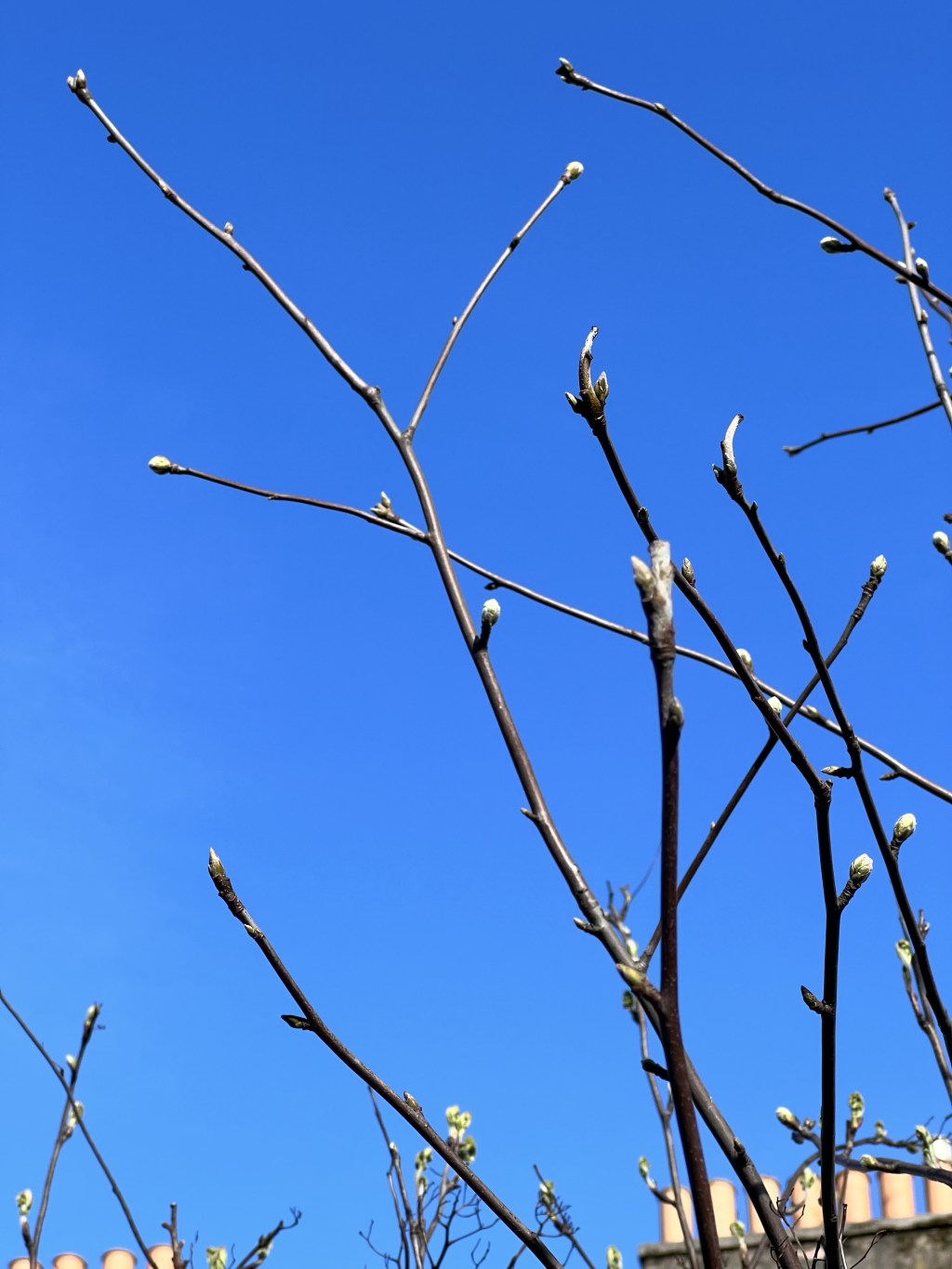 5 lời nhắn gửi sinh viên năm cuối, mới ra&nbsp;trường